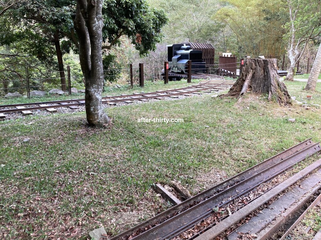 八仙山國家森林遊樂區