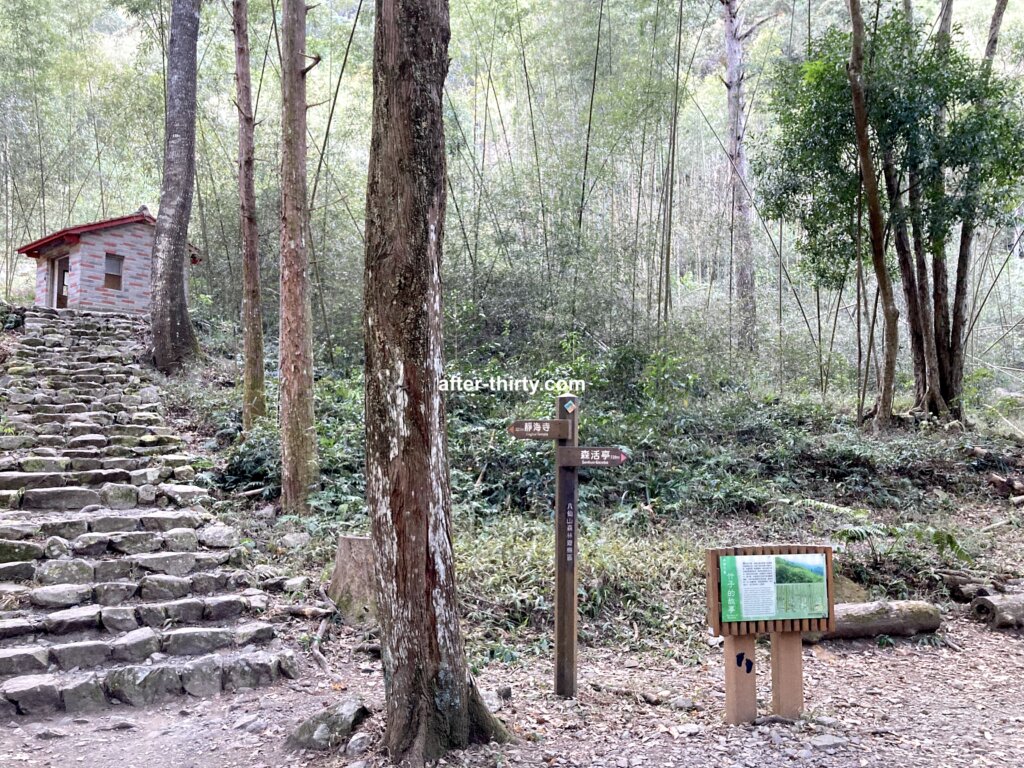 八仙山國家森林遊樂區