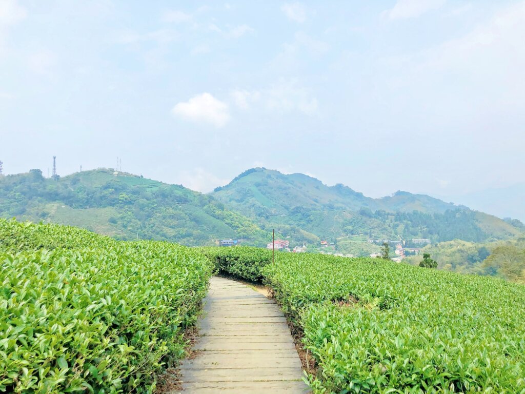 雲之南步道