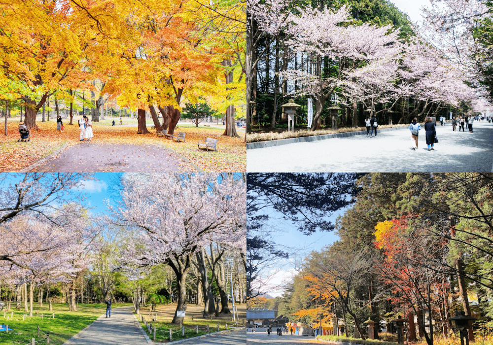 札幌圓山公園