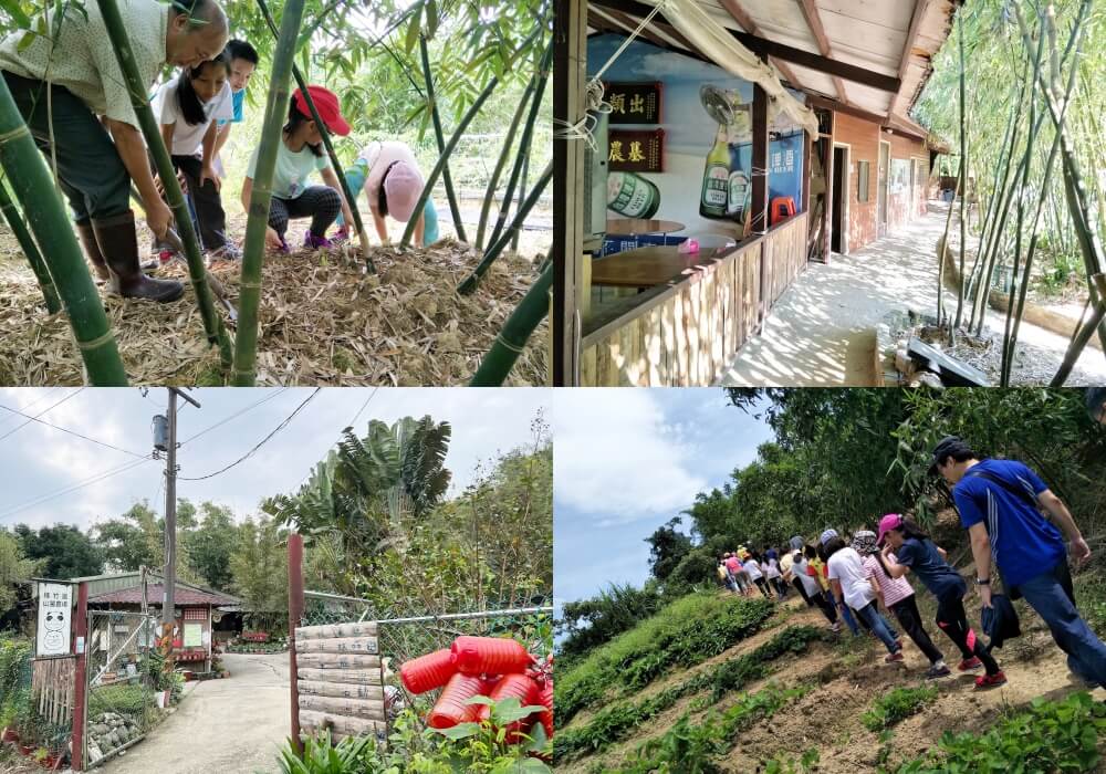 綠竹園山薯農場