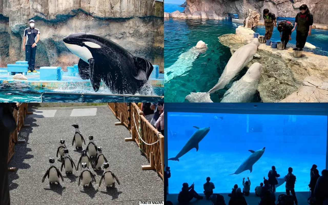 日本主題樂園 名古屋港水族館