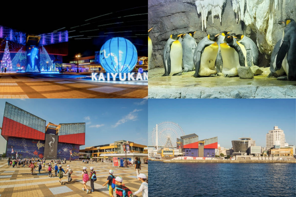 大阪景點  大阪水族館(海遊館)