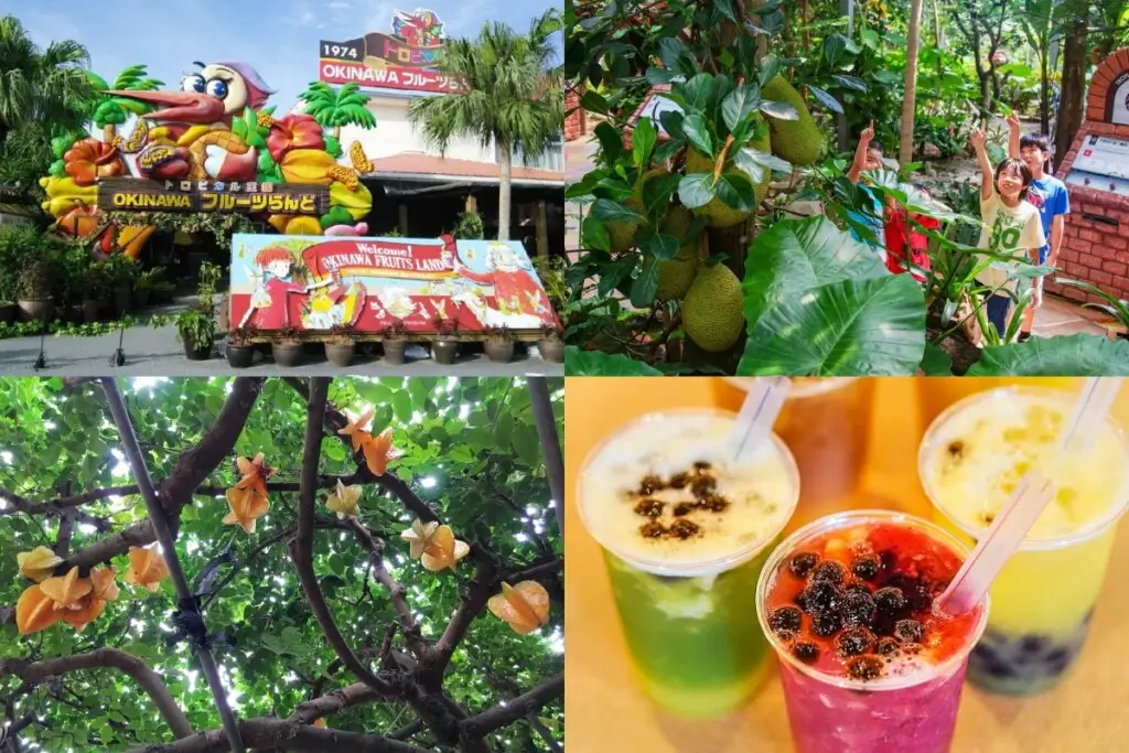 沖繩水果樂園 Okinawa Fruits Land