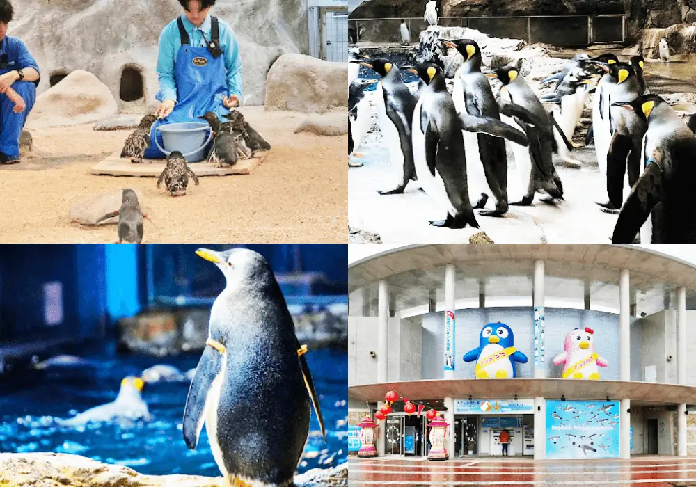 長崎企鵝水族館