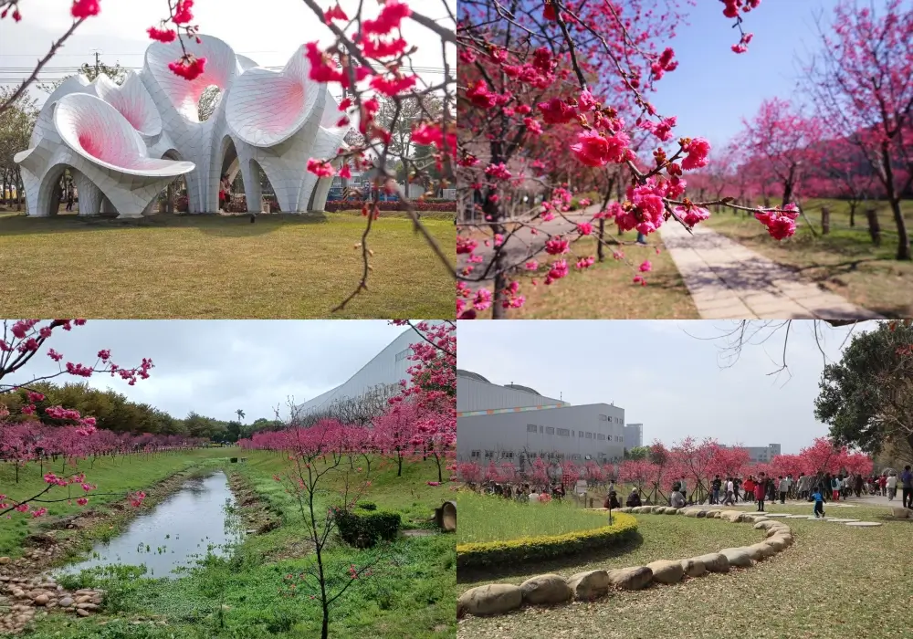 台中中科崴立櫻花公園