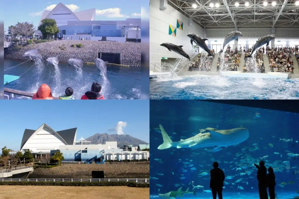 鹿兒島水族館