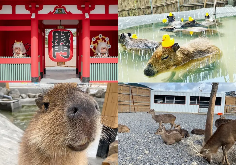 鹿ㄦ島水豚生態園區