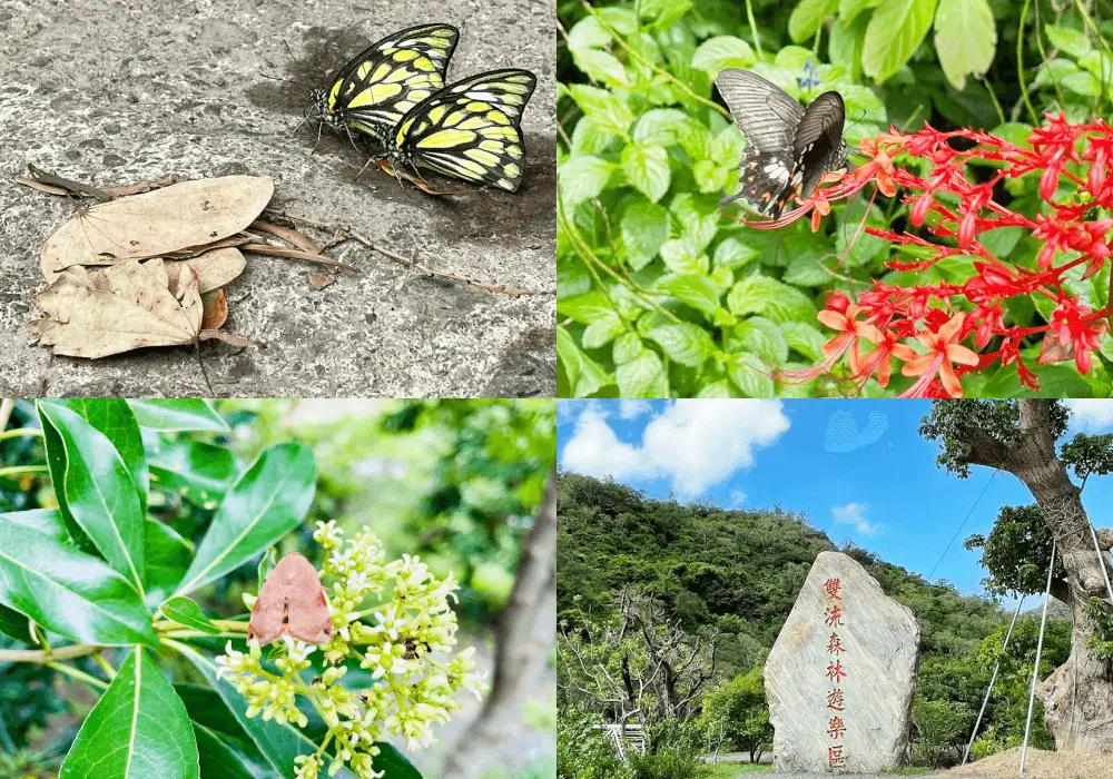 雙流國家森林遊樂區