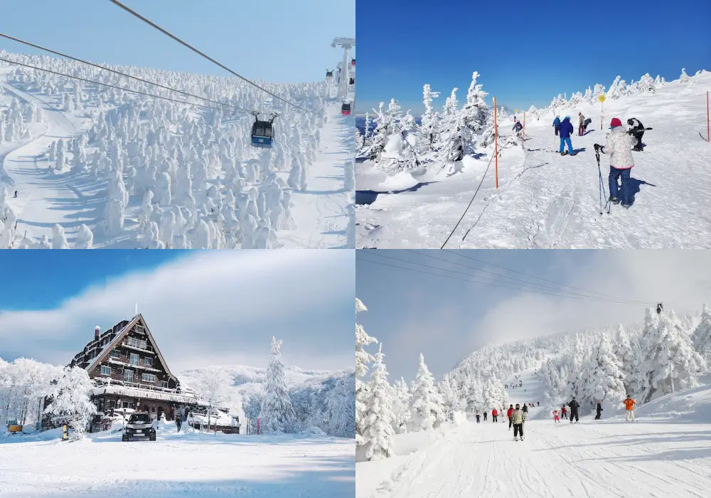 藏王溫泉滑雪場