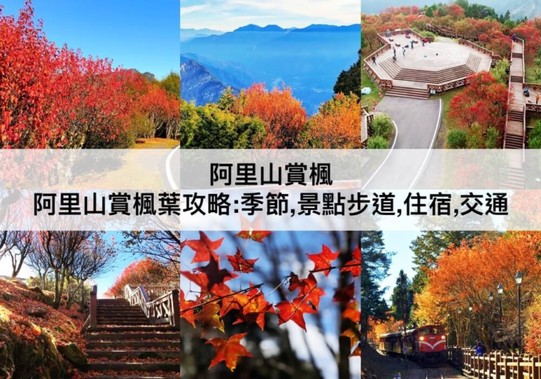 阿里山賞楓葉攻略【2024】賞楓季節,賞楓必去景點步道,住宿,交通