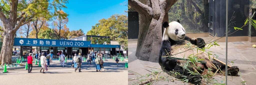 上野動物園