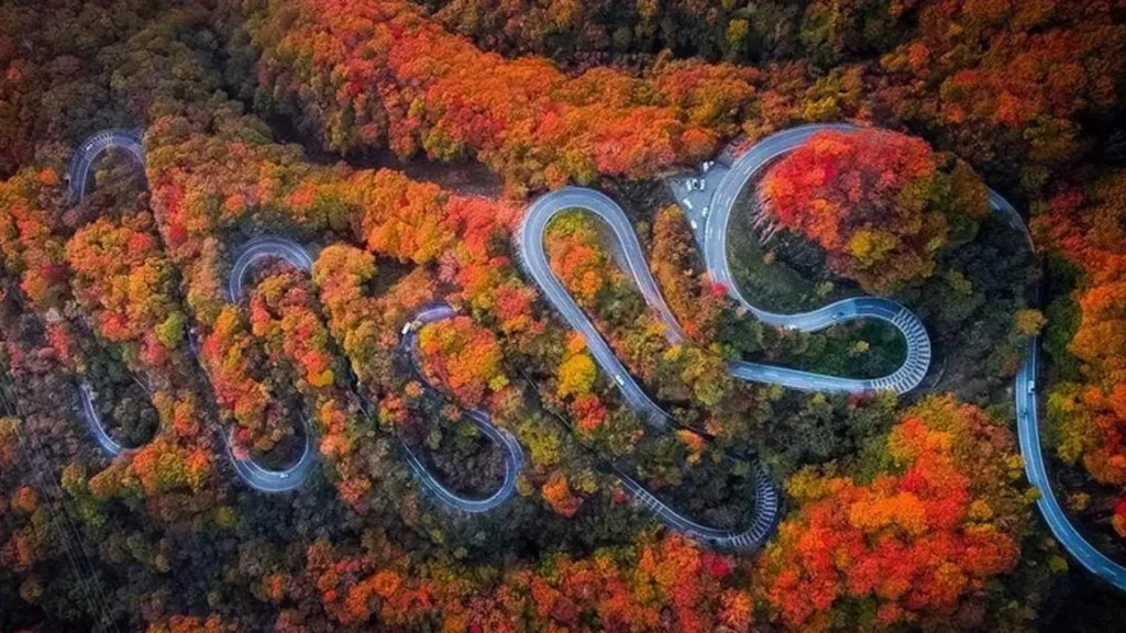 伊呂波山道