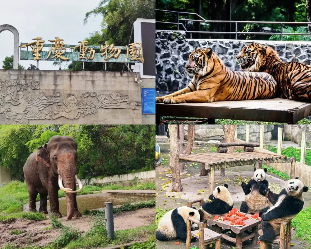 重慶動物園