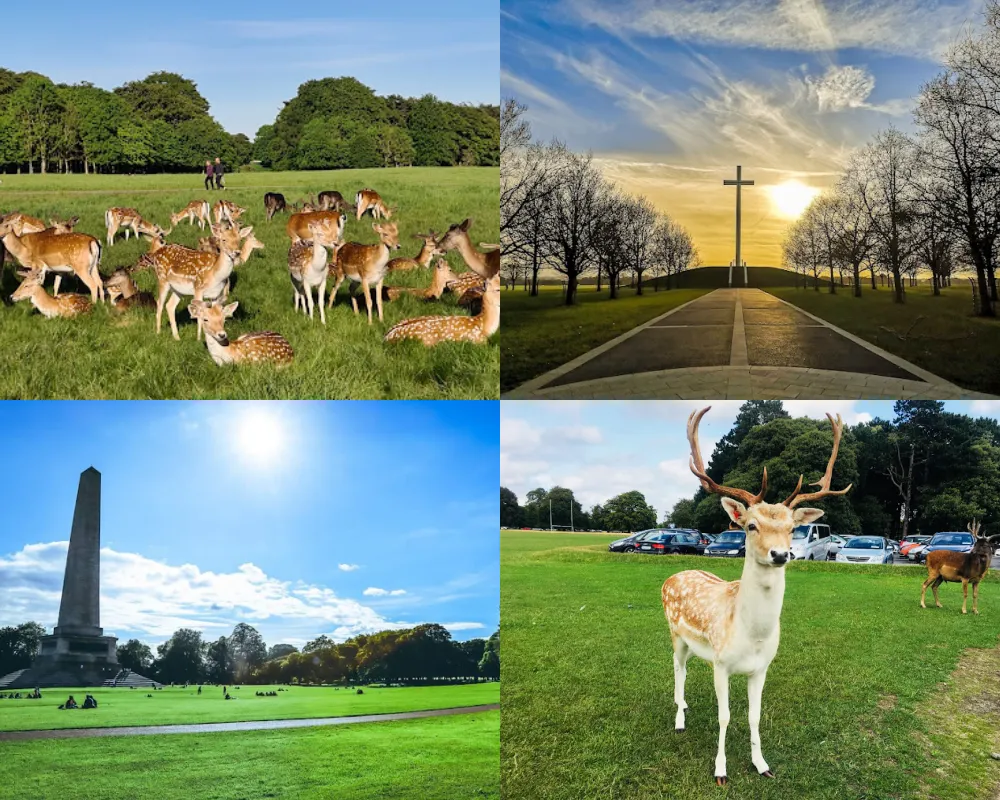 鳳凰公園 Phoenix Park