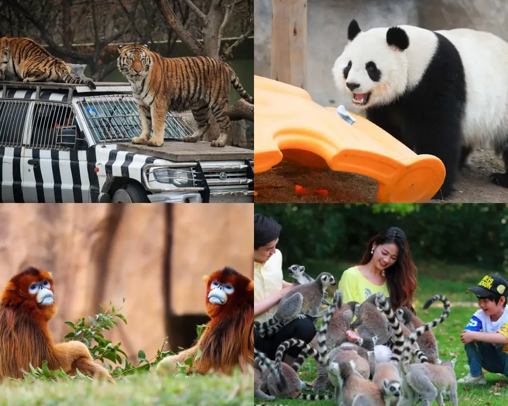 上海野生動物園