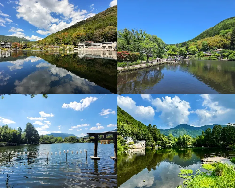 金鱗湖